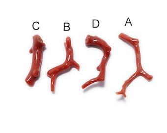 Genuine Italian Red Coral Branch, Natural Coral Specimen for Jewelry Making