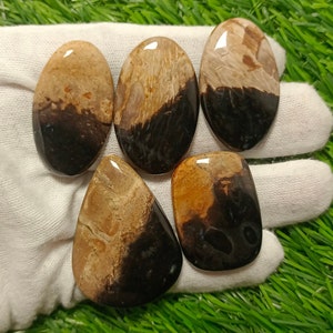 Yellow Palm Root Agate Cabochon - High Quality Palm Root Agate Gemstone - Flat Back Palm Root Agate Cabochon Palm Root Agate Crystal Cabs
