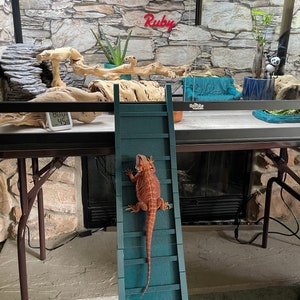 Bearded Dragon Ramp Ladder (SOLD IN SECTIONS)