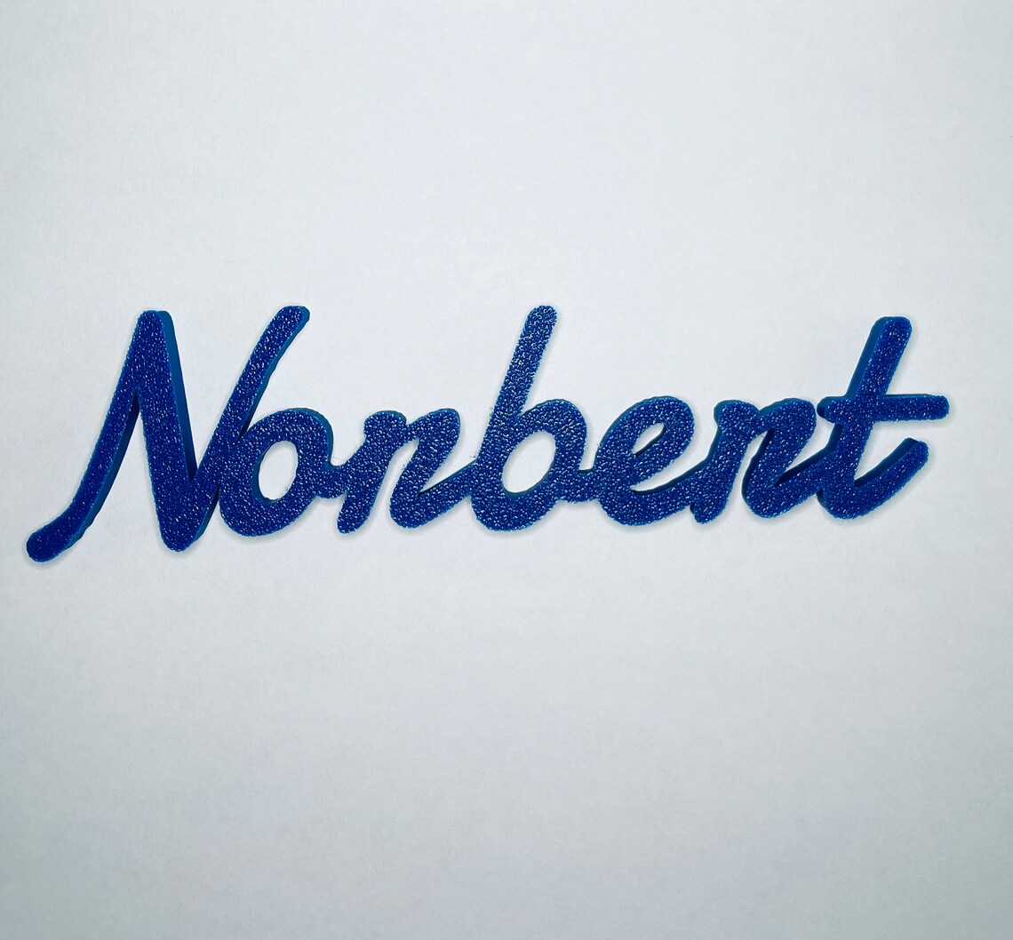 Beardie Name for Enclosure Reptile Habitat Etsy