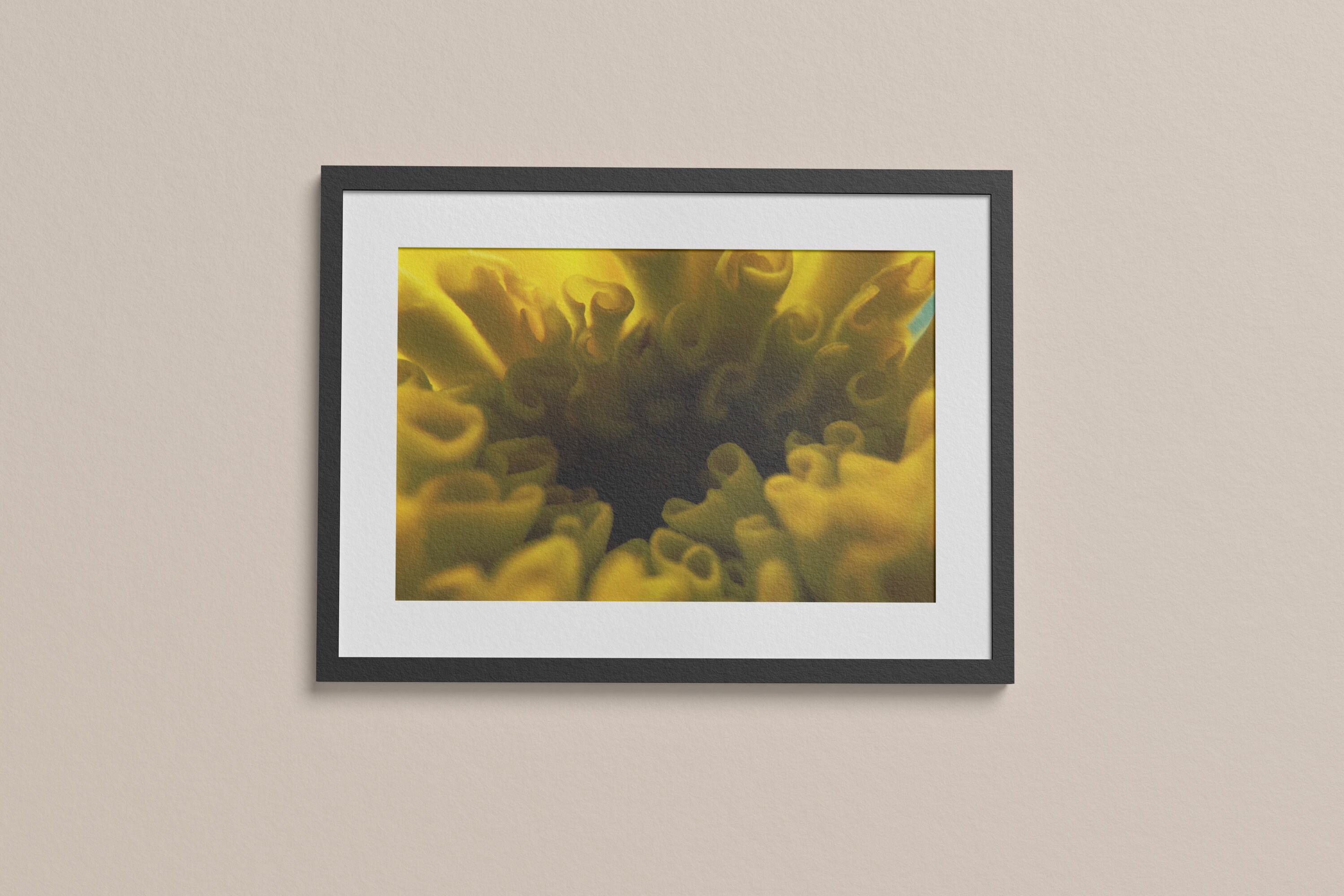 flower-photography-wall-art-yellow-flower-pistil-photography-poster