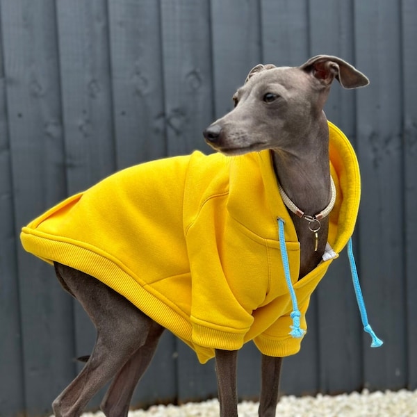 Italian Greyhound Jumper | Iggy clothing