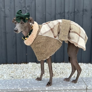 Italiaanse windhondjas - kaki