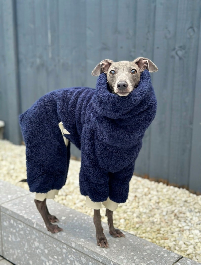 Whippet Coat, Sighthound Jumper Italian Greyhound Coat Whippet Puppy Jumper Whippet Clothes Sighthound Sweater(Brown, XS