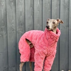 Plush Italian greyhound Jumpsuit | Pink