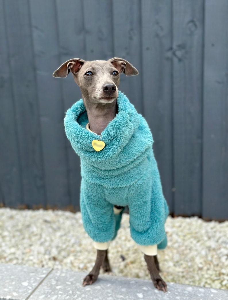 Turquoise Turtleneck Fleece Italian Greyhound Jumpsuit image 3