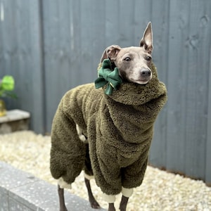 Italian Greyhound Jumpsuit | Khaki