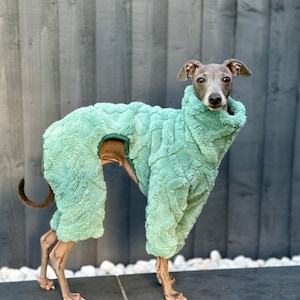 Plush Italian Greyhound Jumpsuit | Mint