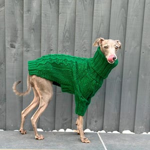 Emerald Italian Greyhound Sweater