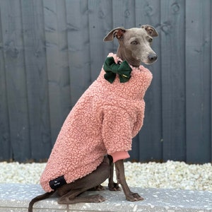 Italian Greyhound Jumper - Powder pink