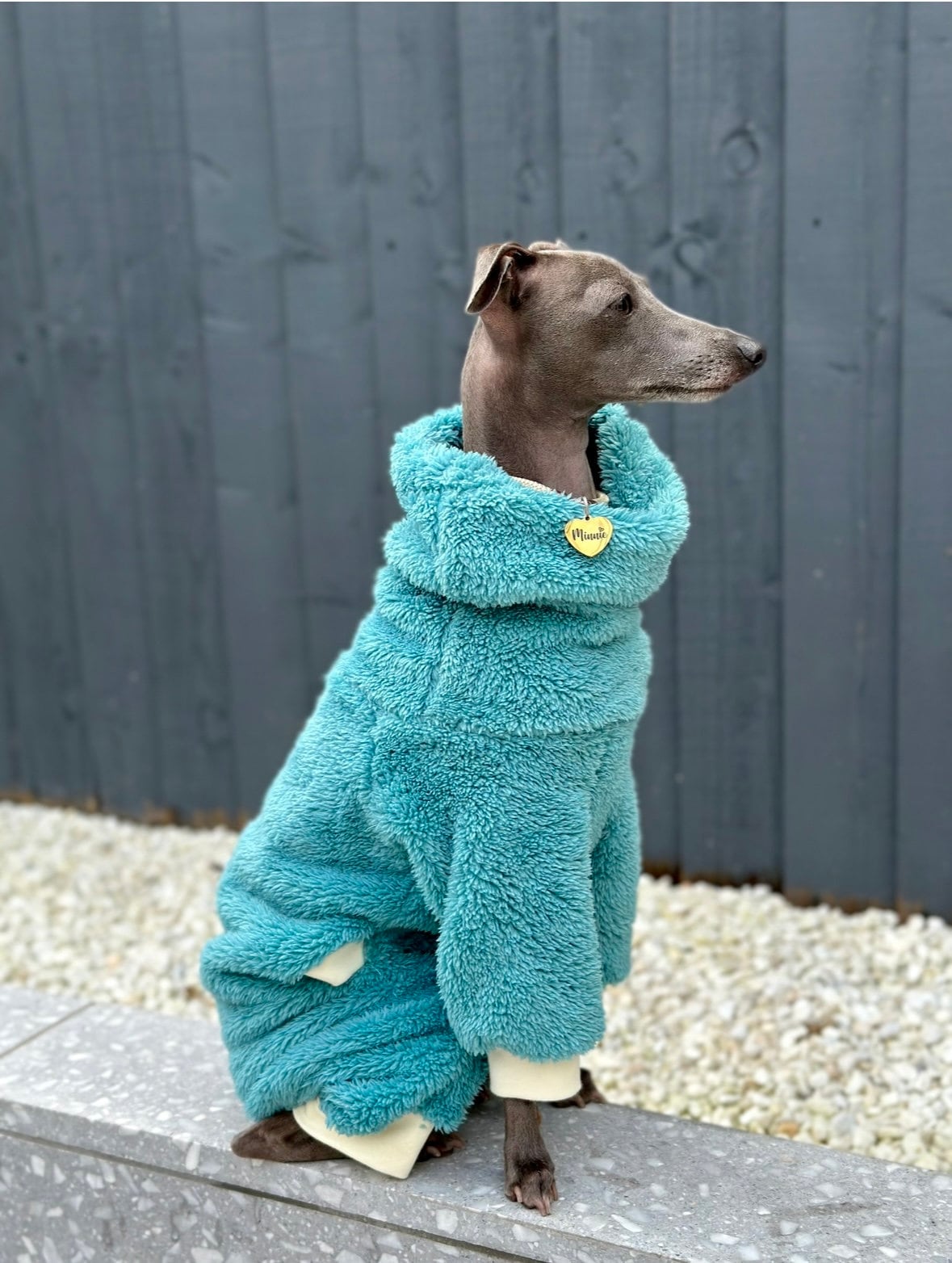 Whippet Dog Costume ESCCBOO Italian Greyhound Whippet Dog Fleece
