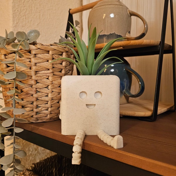 Cute Planter / Succulent Pot  / Cactus Pot - STL File - 3D Printer File