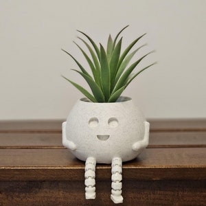 Tontique Cute Planter / Vaso succulento / Vaso per cactus - File STL - File stampante 3D