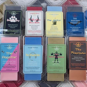 Dispatch Game Character Wax Melts – Z‑Team Inspired Scents - Robert, Flambae, Waterboy, Prism, Sonar, Punch-Up, Malevola & Beef Snap Bars