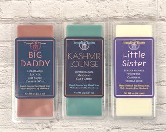 Bioshock-inspirierte Duftwachse! Big Daddy, Little Sister & Kashmir Lounge Sojawachs-Schmelzriegel