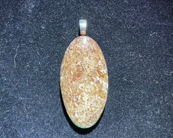 Fossilized Bone Pendant