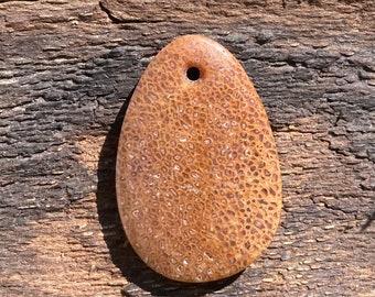 Fossilized Bone Pendant