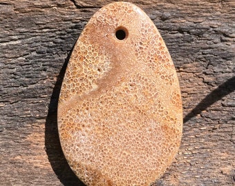 Fossilized Bone Pendant