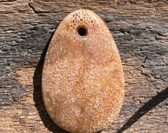 Fossilized Bone Pendant