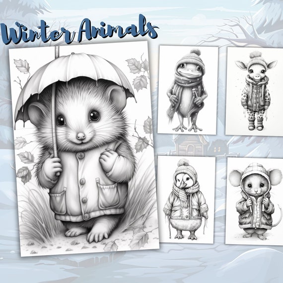 41 Winter Animals Coloring Pages, Cute Coloring Book, Frozen
