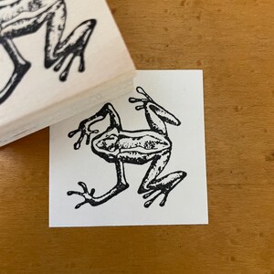 Small Frog II (L) Rubber Stamp, Frog Stamp, Journal and Scrapbook Supply, Art Journal Stamp. 68
