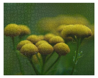 Tansy Puzzle