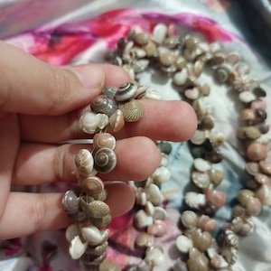 May include: A necklace made of small, natural seashells in various shades of white, tan, and brown. The shells are strung together, creating a delicate and organic design. The necklace is held in a hand, showcasing its intricate details.
