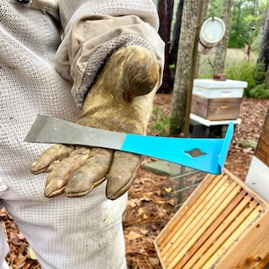 May include: A blue and silver beehive tool with a handle and a flat edge. The tool is held in a gloved hand.