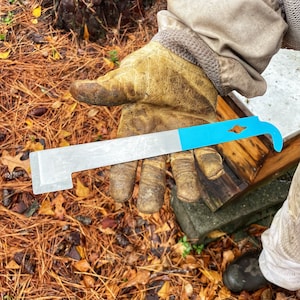 May include: A metal hive tool with a blue handle is held by a gloved hand. The tool has a flat, beveled edge on one side and a curved hook on the other. The background shows pine needles and a wooden surface.