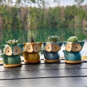 May include: Four ceramic fox-shaped planters in shades of teal, yellow, and blue, each holding a small succulent or cactus. The planters sit on matching bamboo saucers, with a blurred natural background.