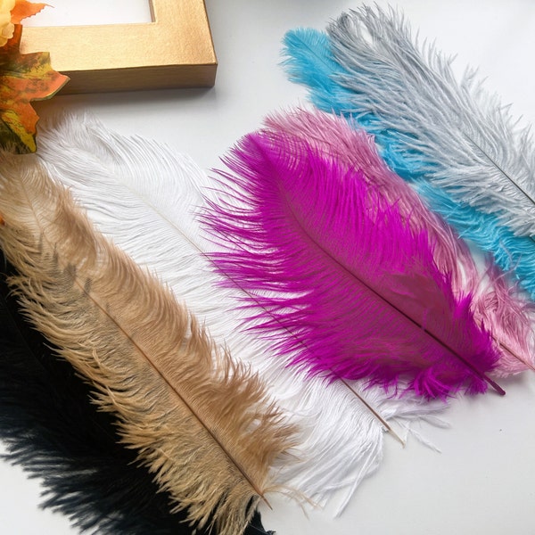 2pcs Coloured Ostrich Feather 25-30cm, Great for weddings, Crafting, table centre piece, Multiple colours