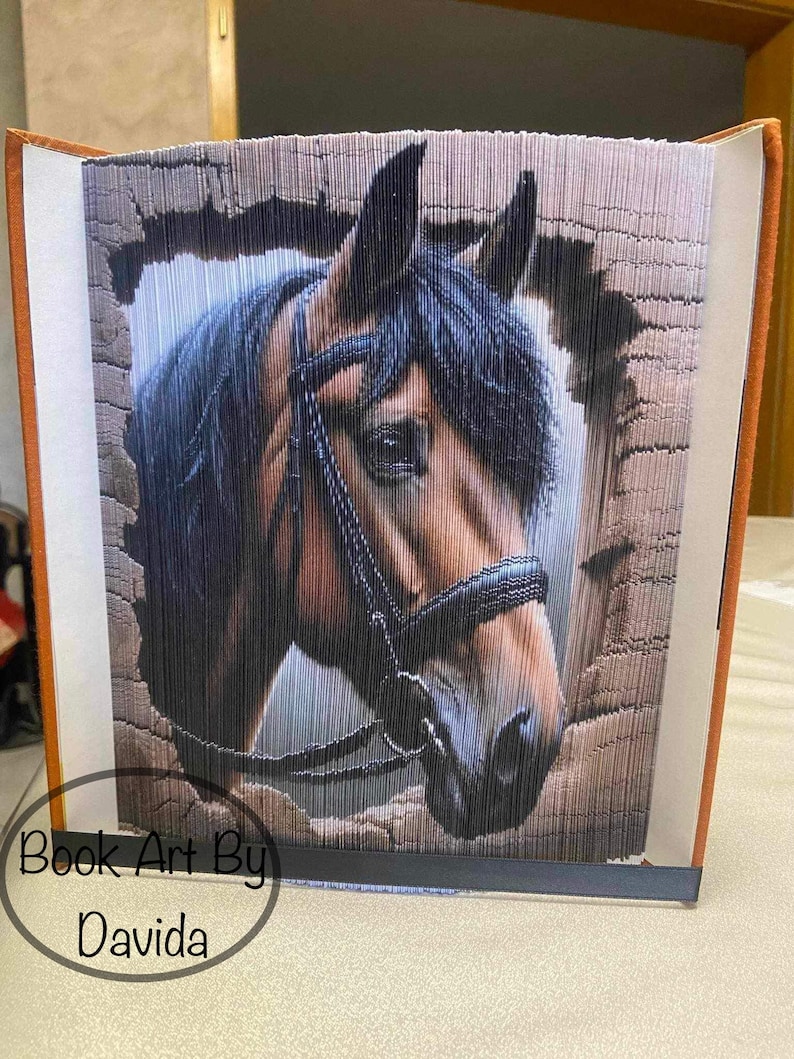 3D Horse peeking out of barn photo edge pattern book art image 1