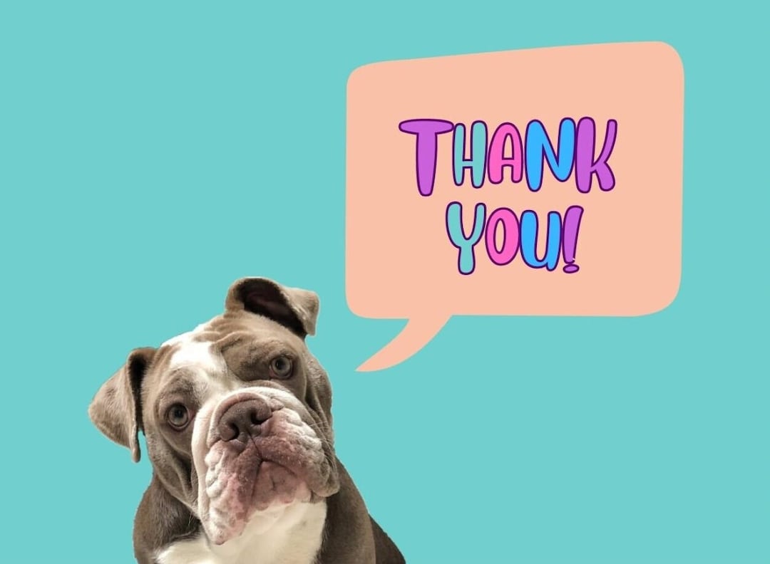 PRINTABLE Funny Dog Card English Bulldog Digital Download Etsy