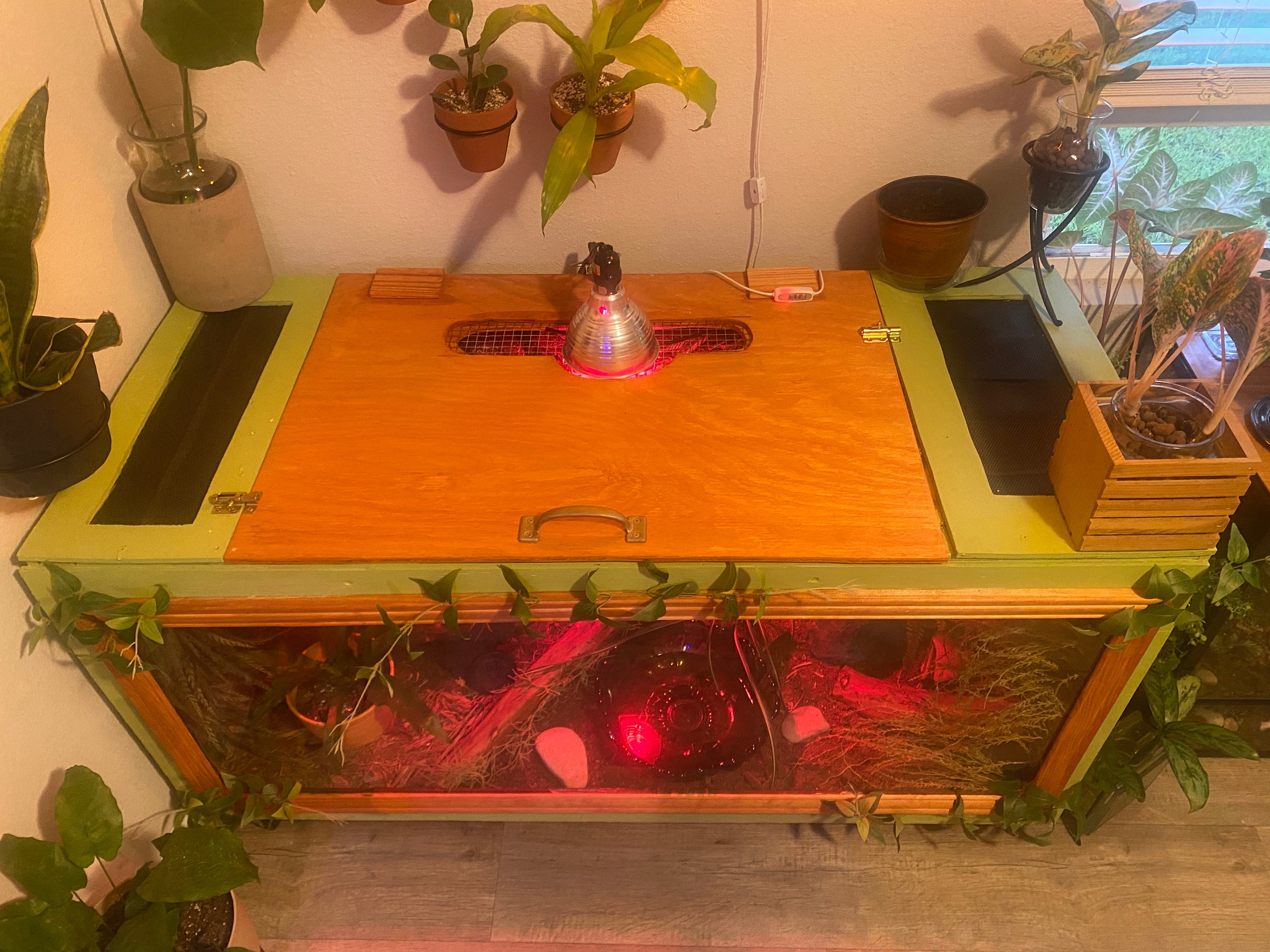 Custom Handmade Reptile Enclosures Etsy