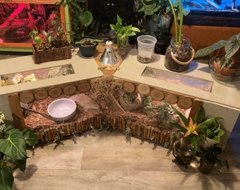 Reptile Rooms - custom built reptile enclosures