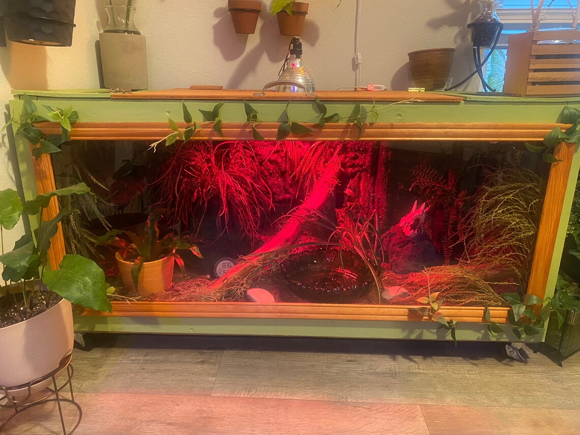 Custom Handmade Reptile Enclosures Etsy