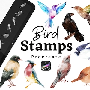 Procreate Bird Stamps | Hand-Drawn Bird Brushes for Procreate | Nature-Inspired Bird & Feather Drawing Stamps | Digital Art Tools