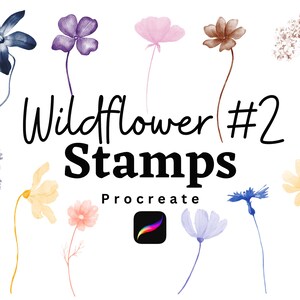 Procreate Wildflower Stamps | Botanical Flower Brushes for Procreate | Hand-Drawn Floral Drawing Stamps | Nature-Inspired Digital Art Tools