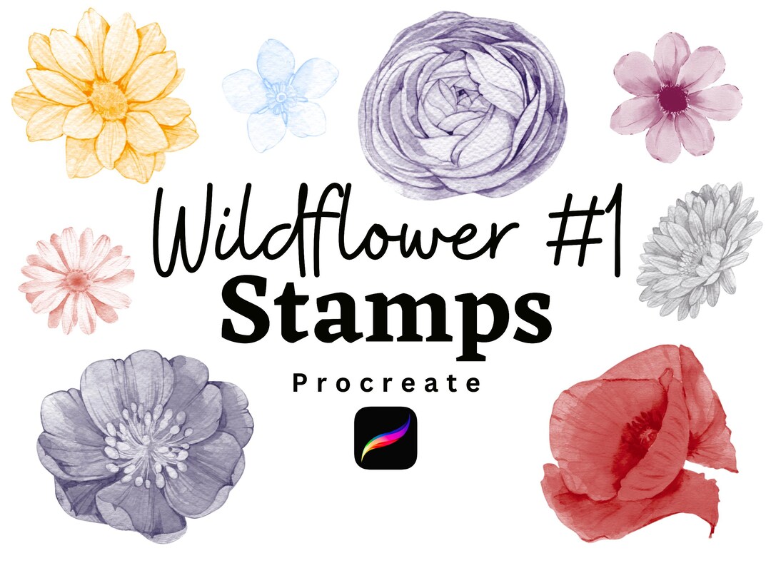 Wildflowers Procreate Watercolor Stamps, Flowers Stamps for Procreate ...