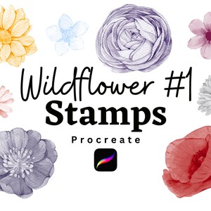 Procreate Wildflower Stamps | Botanical Floral Brushes for Procreate | Hand-Drawn Drawing Stamps | Nature-Inspired Digital Art Tools