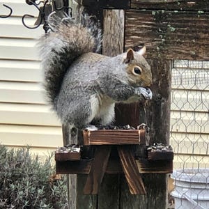 Woodland Critter Feeder – Wooden Wildlife Feeder for Squirrels, Chipmunks, Birds & More – Backyard Snack Spot