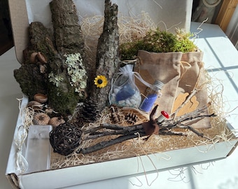 Fairy Garden Kit with Twinkle Lights, DIY Woodland Terrarium Craft Box, Miniature Garden Starter Set, Nature Gift for Kids and Adults
