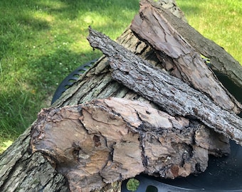 Natural Tree Bark for Crafts, Forest Harvested Bark for Terrariums, Fairy Garden & Vivarium Decor, Reptile Bark, Woodland Craft Supply