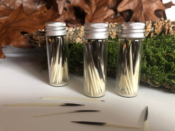 Porcupine Quills for Crafts, 50 Cleaned Natural Quills in Glass Vial, Jewelry Making, Fly Tying, Quillwork Supplies, Earring & Craft Supply