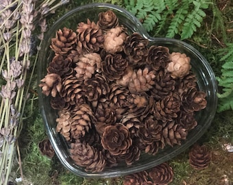 May include: A heart-shaped glass bowl filled with brown pine cones. The bowl is sitting on a bed of green moss.
