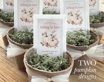 Wildflower Seed Fall Wedding Favor Rustic White Pumpkin Falling in Love Bridal Shower Favor Neutral Autumn Guest Gift Seed Packet