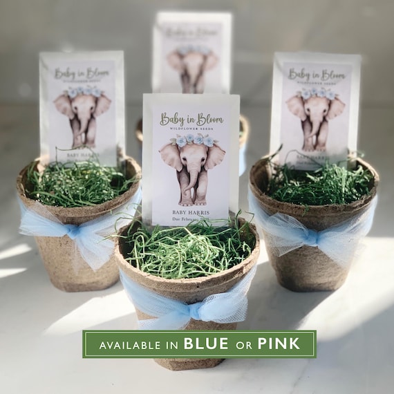 Bloom Baby Boy Baby Shower Favours For Guests 20 Best Baby Shower