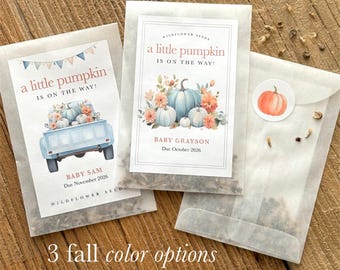 Wildflower Seed Favor Pumpkin Baby Shower Boy Theme Party Guest Gift Personalized Packet Custom Label Fall Celebration Autumn Keepsake