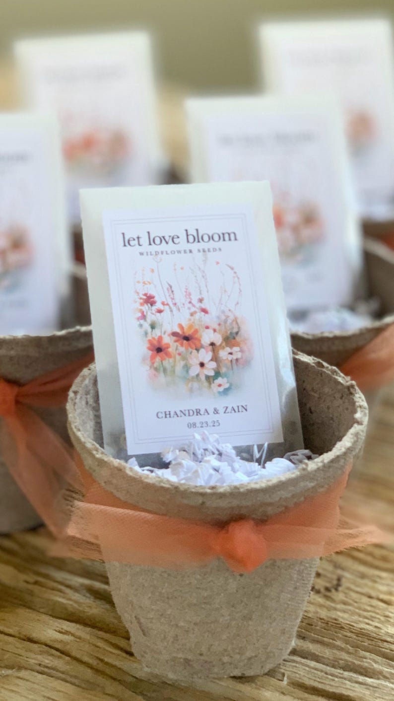 May include: Small, round, biodegradable pots filled with white paper and a packet of wildflower seeds. The packet reads "Let Love Bloom" with a floral design and the names "Chandra & Zain" and the date "08.23.25". Each pot is tied with orange tulle.