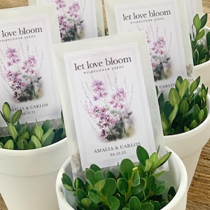 May include: White pots filled with green plants, each holding a packet of wildflower seeds. The packets read "let love bloom" with a floral illustration and the names "Amalia & Carlos" and the date "04.19.25".